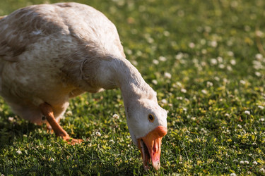 Similar image 21497234