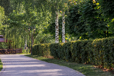 Similar image 21497246