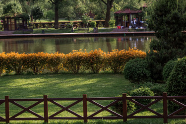 Similar image 21493181