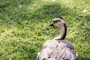 Similar image 21493197