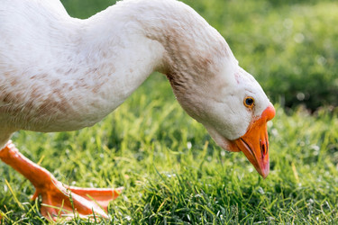 Similar image 21497052