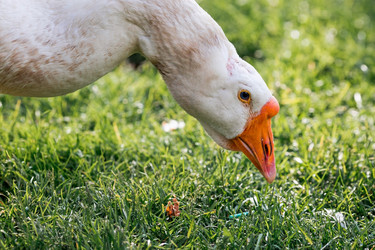 Similar image 21493198