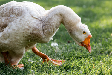 Similar image 21493202