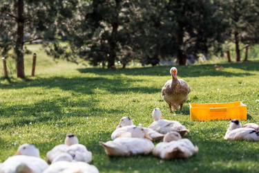 Similar image 21493203