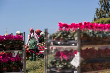 Similar image 21493204