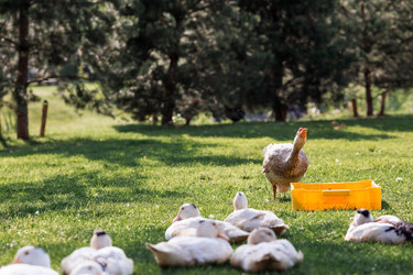 Similar image 21493205