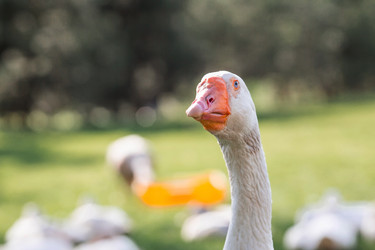 Similar image 21493211