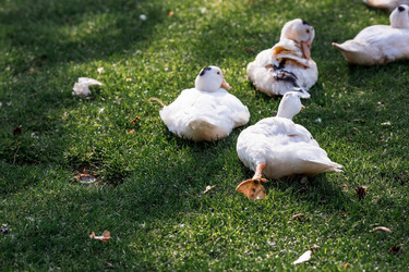 Similar image 21493215