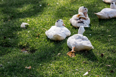 Similar image 21493217