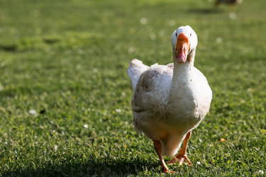 Similar image 21493219