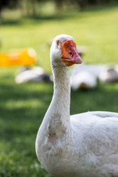 Similar image 21493221