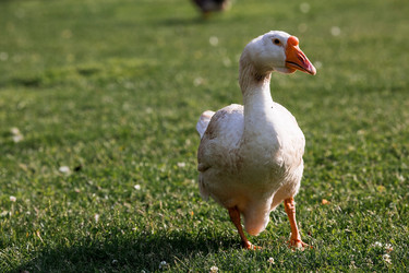 Similar image 21493223