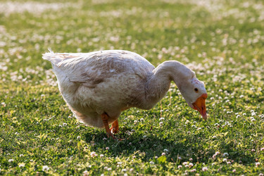 Similar image 21493225