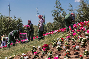 Similar image 21493226