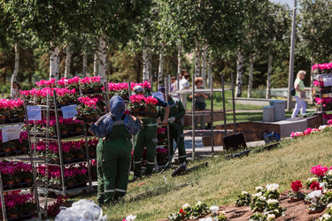 Similar image 21493228