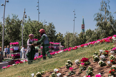 Similar image 21493230