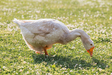 Similar image 21493231