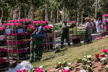 Similar image 21493232