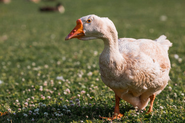 Similar image 21493235