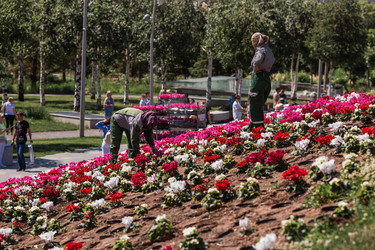 Similar image 21493236