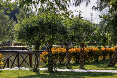 Similar image 21493238