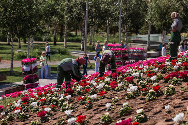 Similar image 21493239