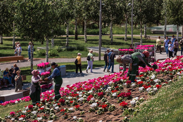 Similar image 21493241