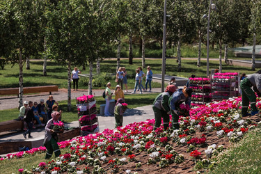 Similar image 21493243