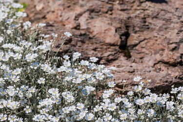 Similar image 21493245