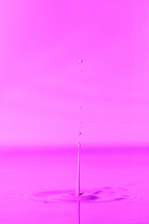 Similar image 21493028