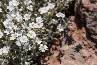 Similar image 21493269