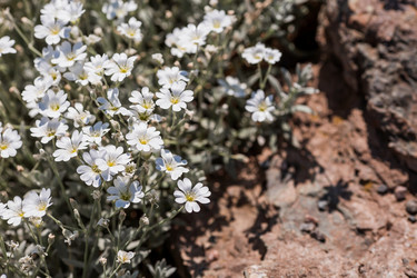 Similar image 21493270