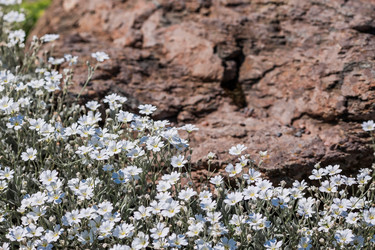 Similar image 21493271