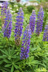 Similar image 21492704