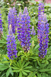 Similar image 21492714