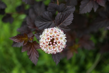 Similar image 21492715