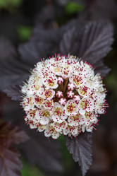 Similar image 21492716