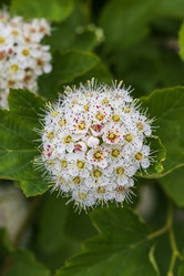 Similar image 21492717