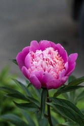 Similar image 21492718