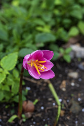 Similar image 21492720