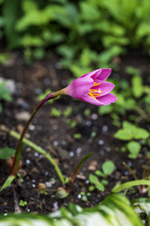 Similar image 21492721