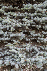 Similar image 21493284