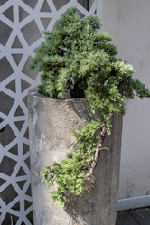 Similar image 21492723