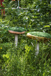 Similar image 21494560