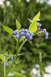 Similar image 21492724