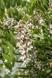 Similar image 21492725