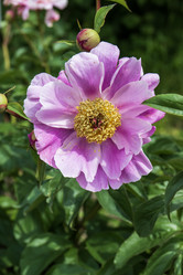 Similar image 21494561