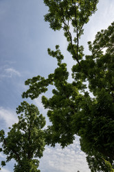 Similar image 21493286