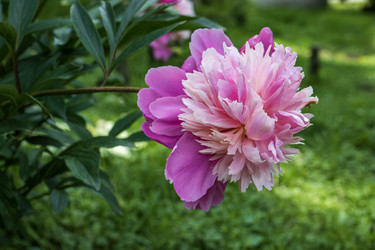 Similar image 21492709