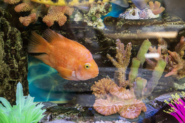 Similar image 21492710